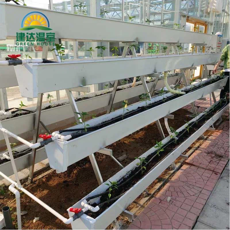 A hydroponic planting