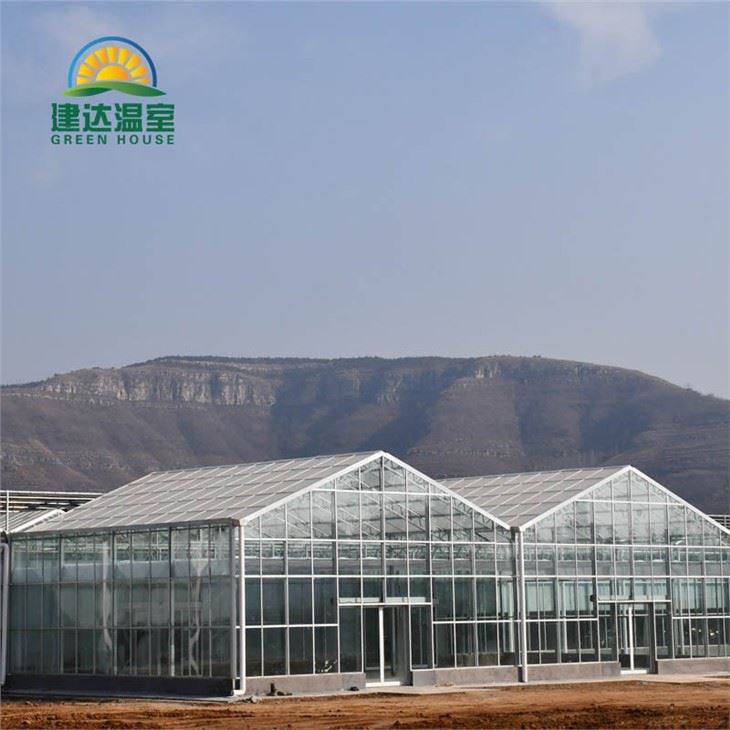 Commercial Glass Greenhouse