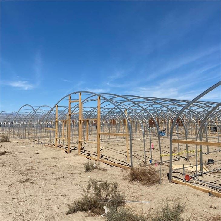 Double Film Tunnel Greenhouse For USA