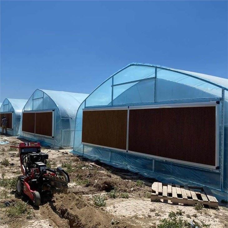 Double Film Tunnel Greenhouse For USA