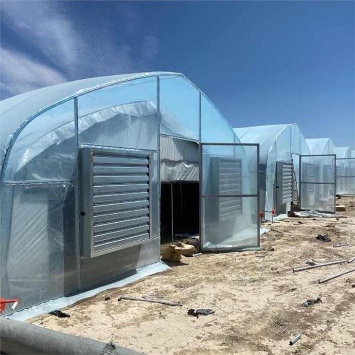Double Film Tunnel Greenhouse For USA