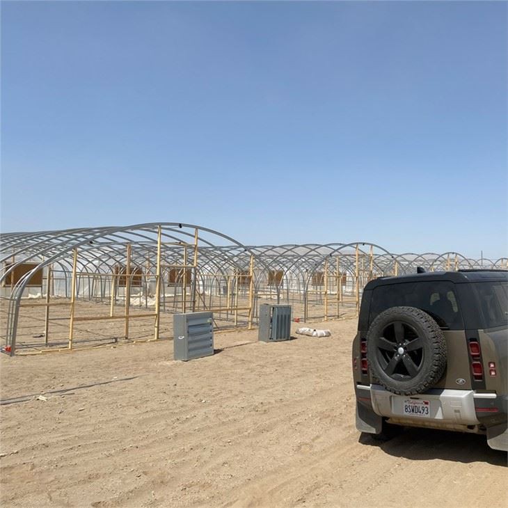 Double Film Tunnel Greenhouse For USA