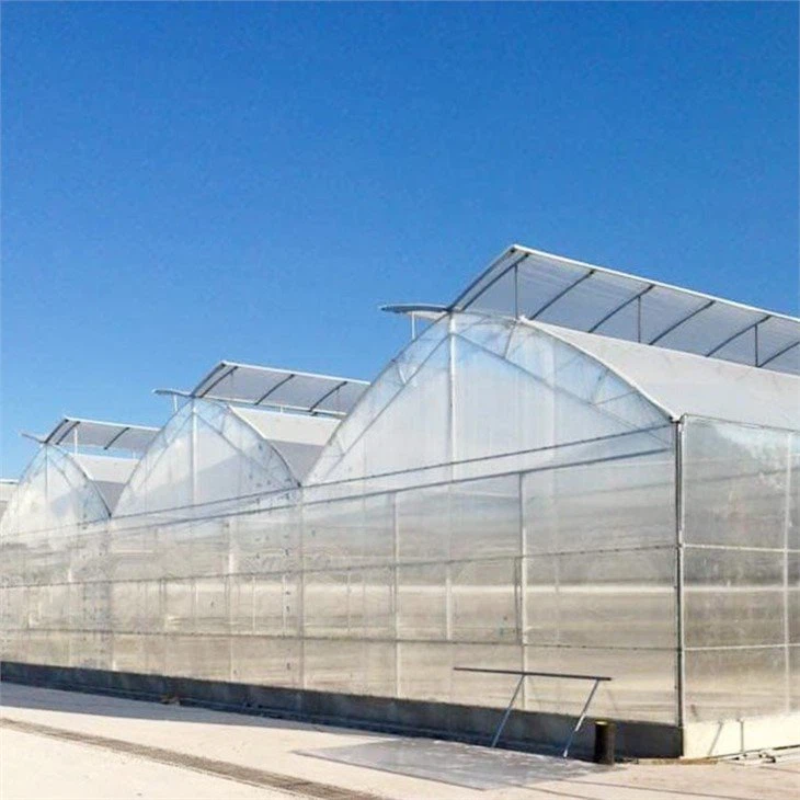 Gothic Greenhouse
