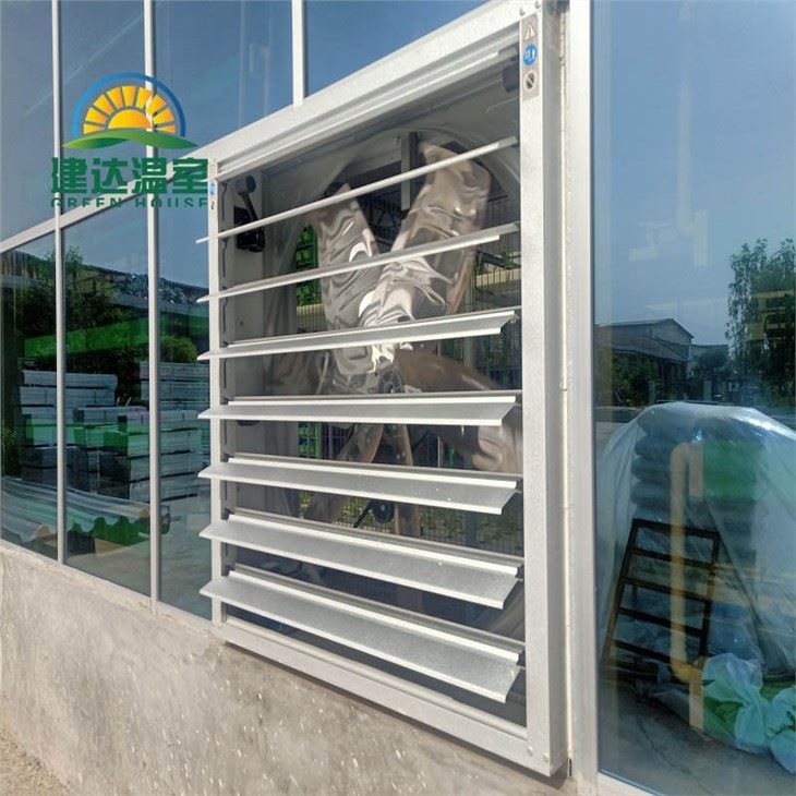 Greenhouse Cooling Fan