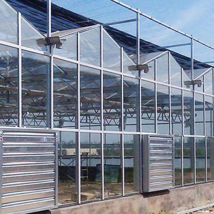 Greenhouse Light Glass