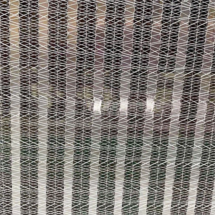 Inside and outside Sun-shading China