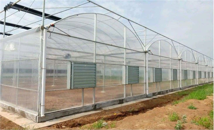 Greenhouse With Cooling System