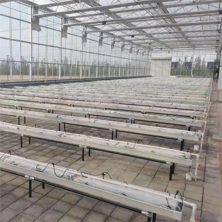 Hydroponics Vertical Farming