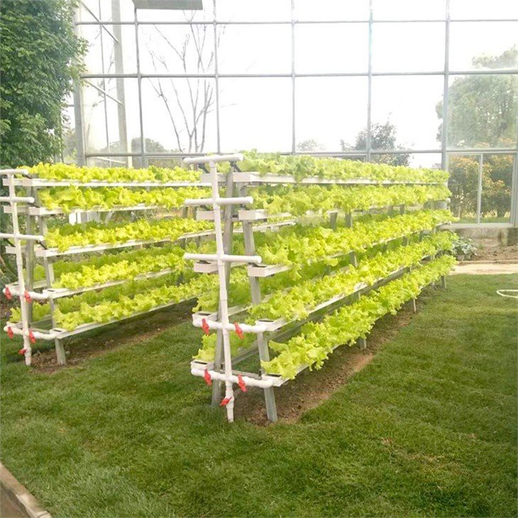 Vertical Hydroponic